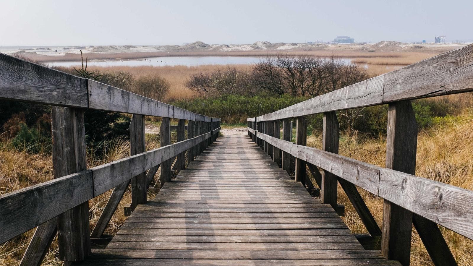 Condo vs. House in 2026: The Math Has Changed