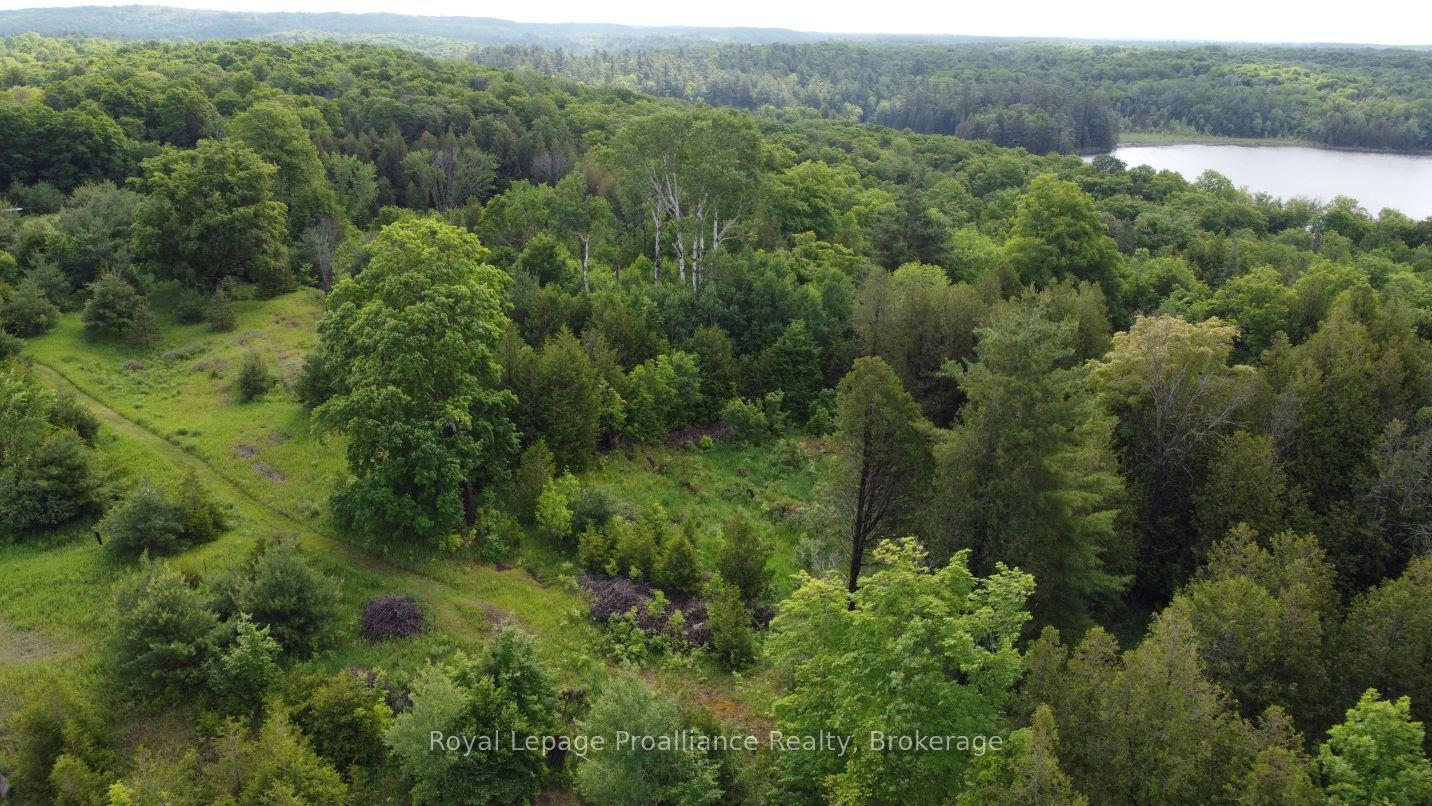 5966 HWY 506 Road — photo 1