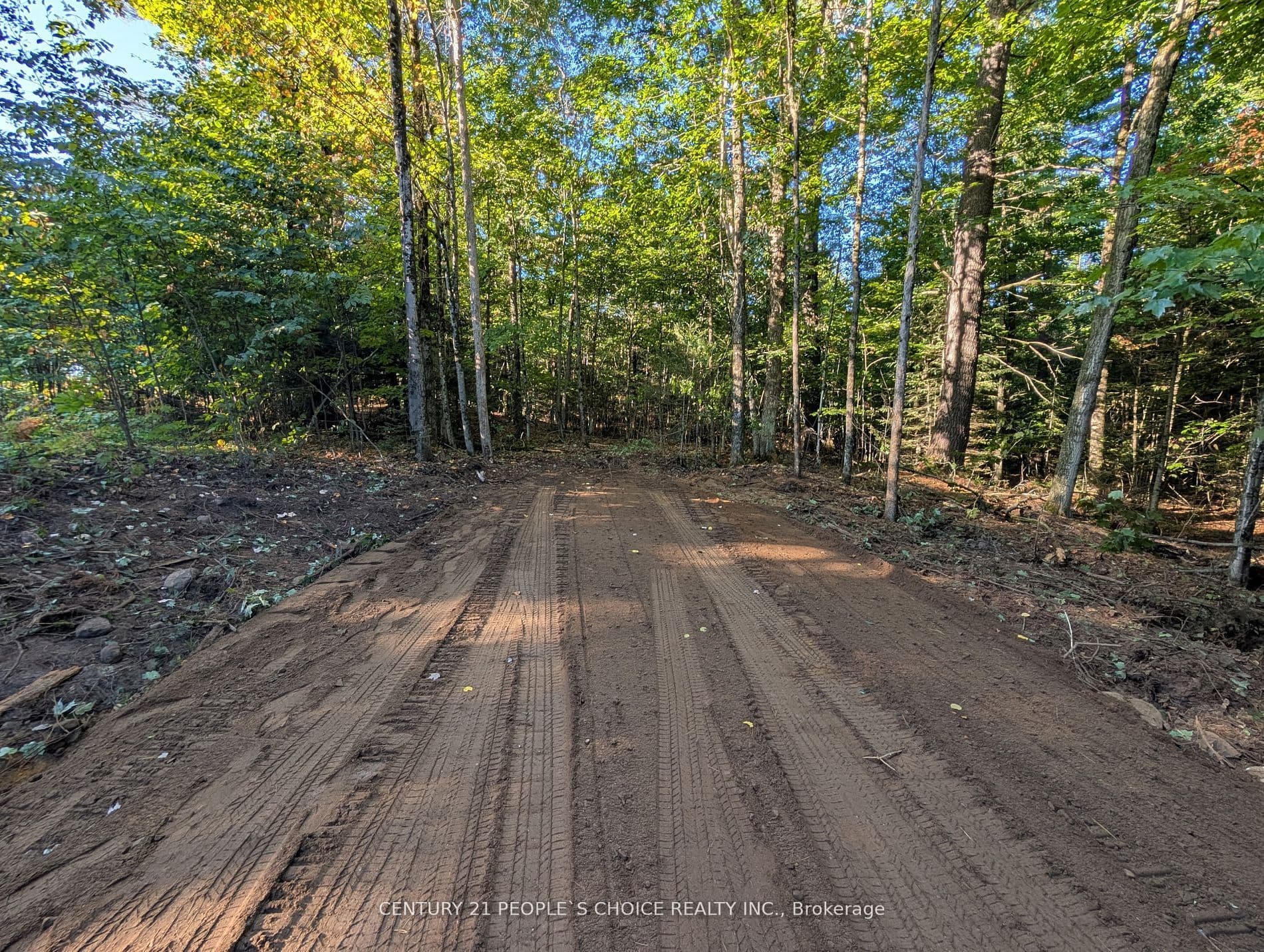 1055 W Porkys Road — photo 1