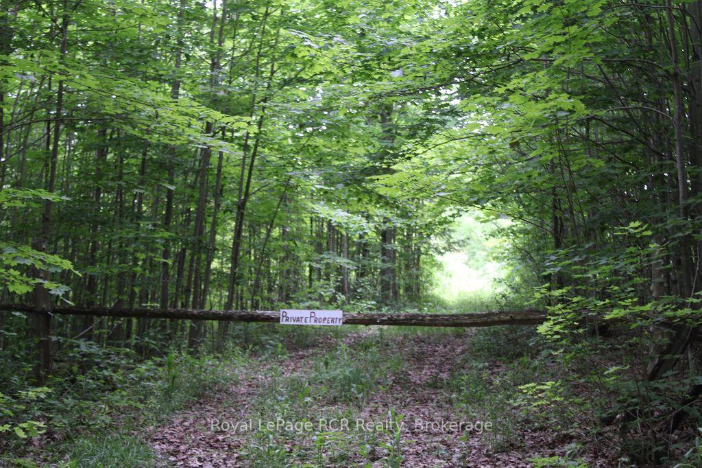 PT LT 15 CON 13 Concession 14 Road — photo 1