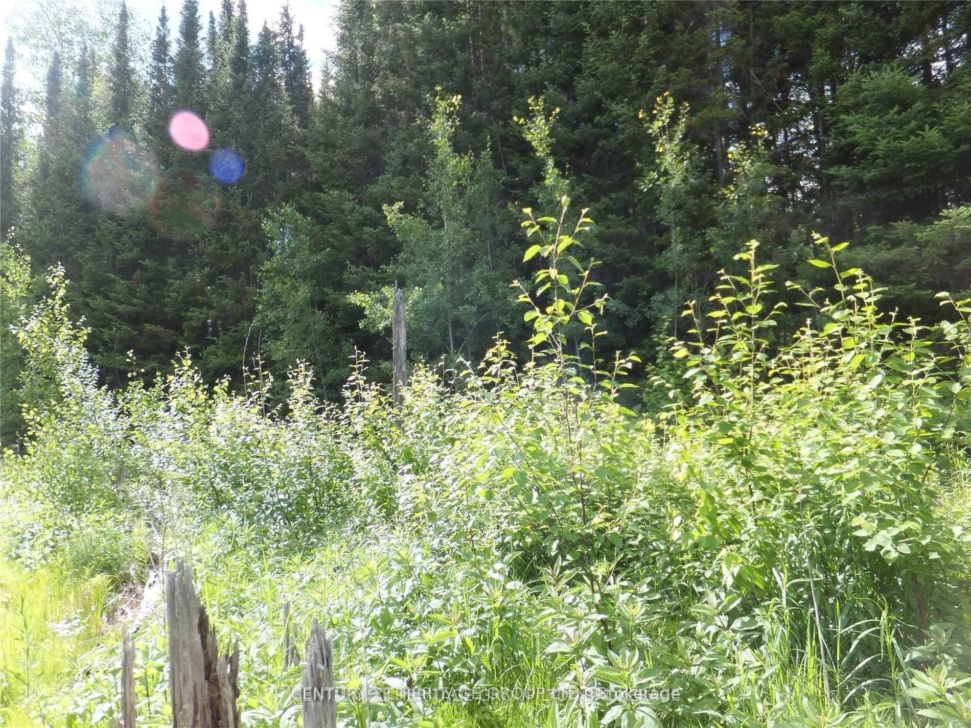 2098 Glamor Lake Road — photo 1