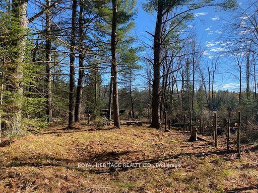 17556 Highway 62 N/A — photo 1