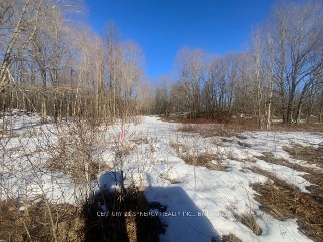 00 Lot 1 County Rd 10 Road — photo 1