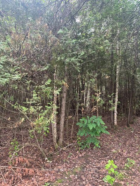 0 LILAC ROAD AT PIGEON LAKE ROAD N/A — photo 1