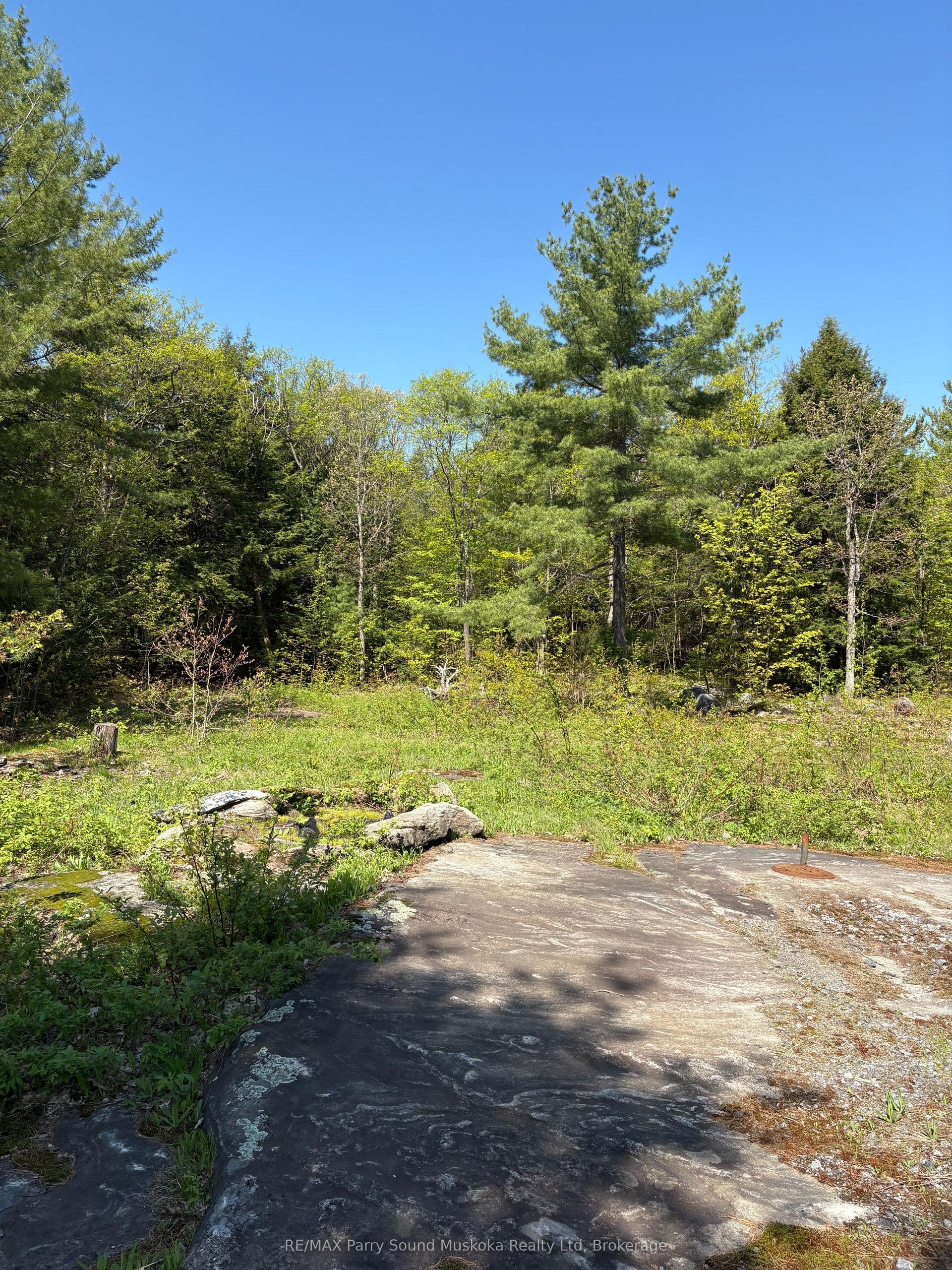 175 North Sandy Plains Road, Seguin — Land for sale, photo 1