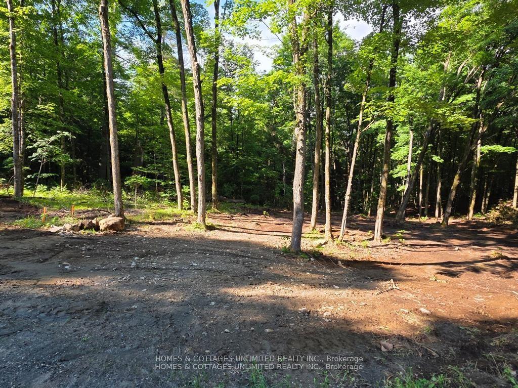 2456 CONC DALHOUSIE Concession, Lanark Highlands — Land for sale, photo 1