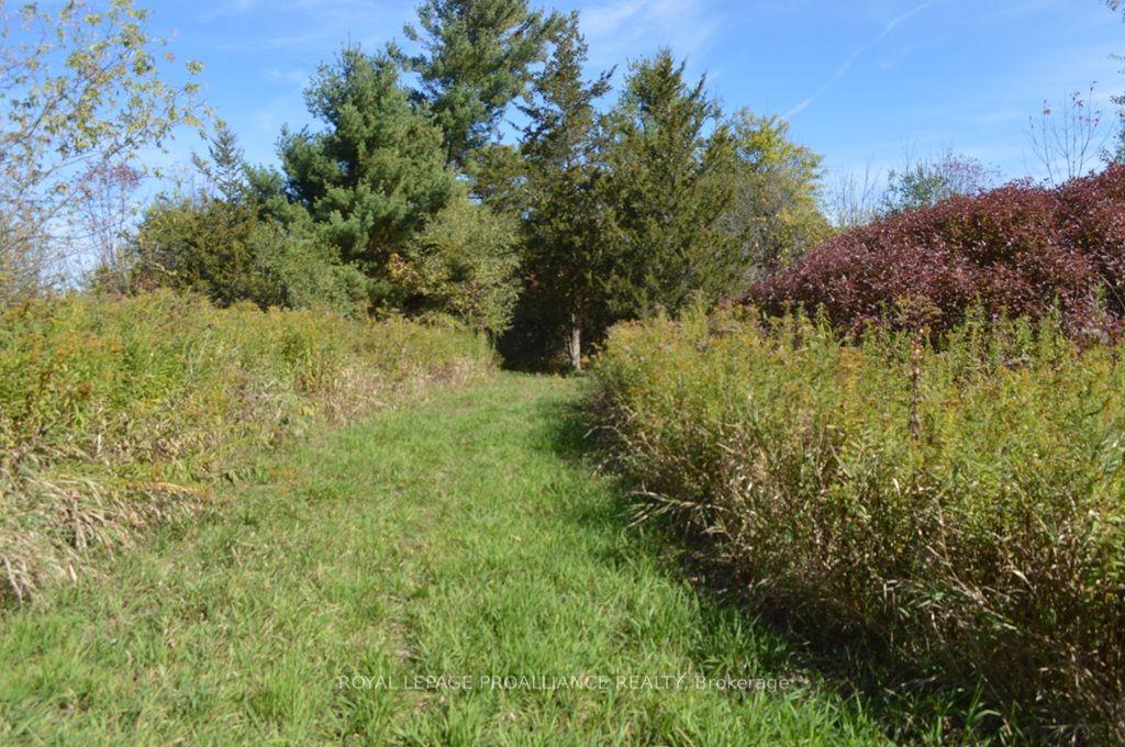 00 Scriver Road — photo 1