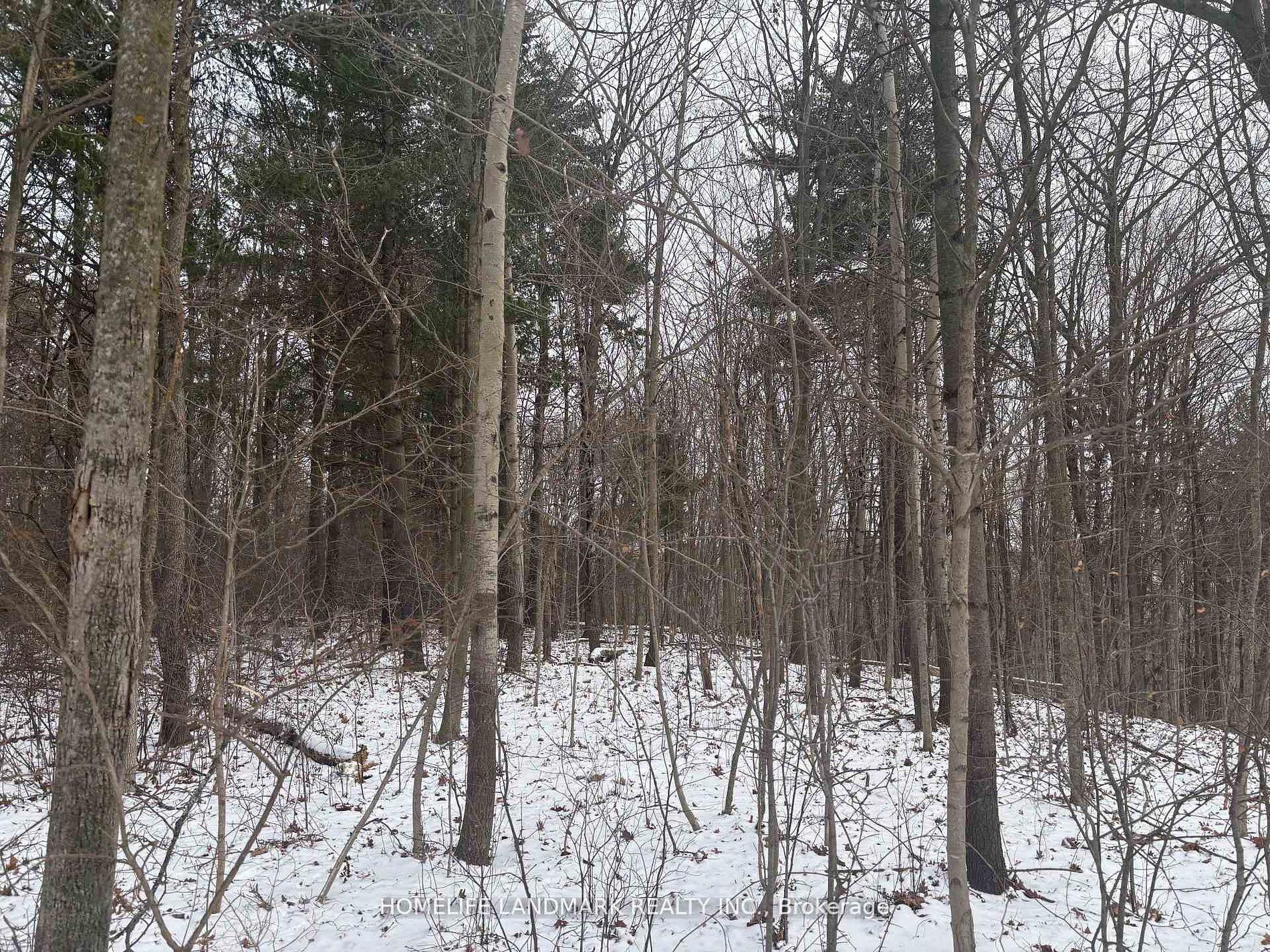 LT 45 CON 7 EBR LINDSAY N/A — photo 1