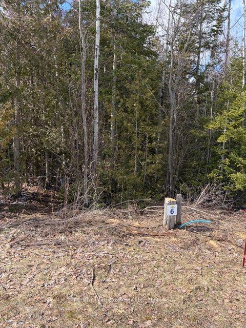 11 Lakeside Woods Crescent — photo 1