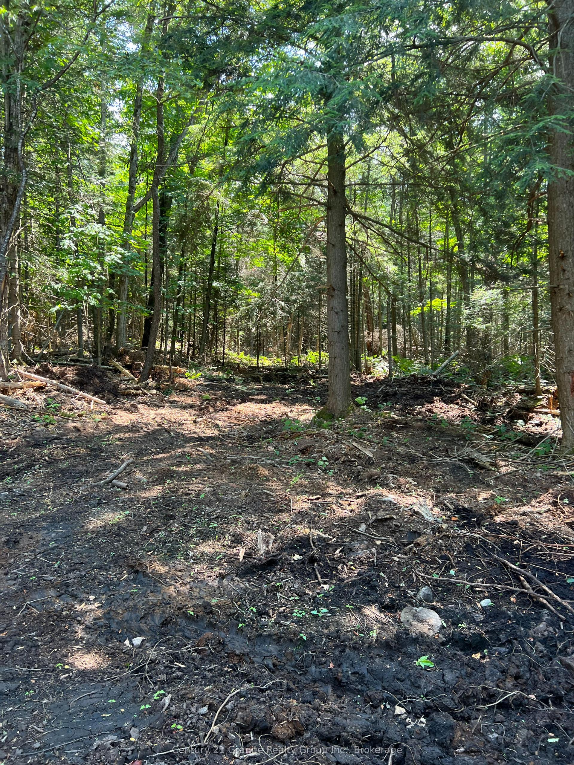 LOT 29 WEST Court — photo 1