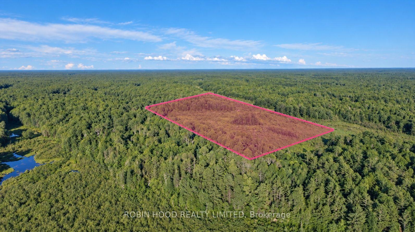 4501 Upper Big Chute Road, Severn — Land for sale, photo 1
