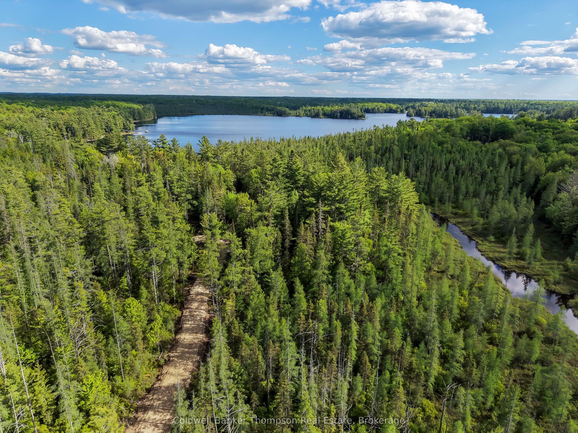 Part 5 AXE LAKE Road — photo 1