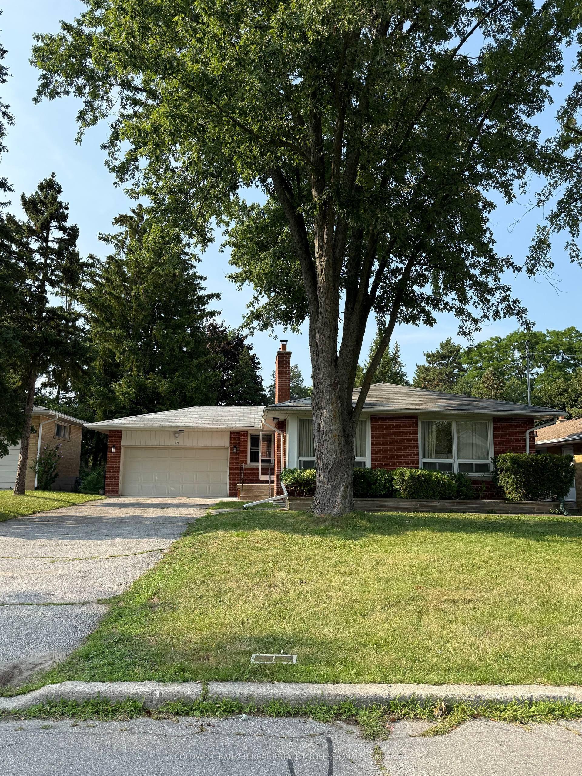 232 Newton Drive Basement B #Basement B, Toronto — Detached for lease, photo 1