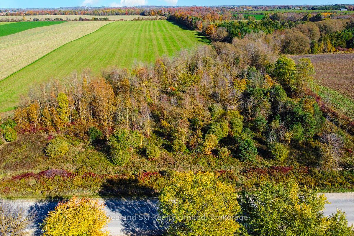 31313 Grey Road 14 Road — photo 1