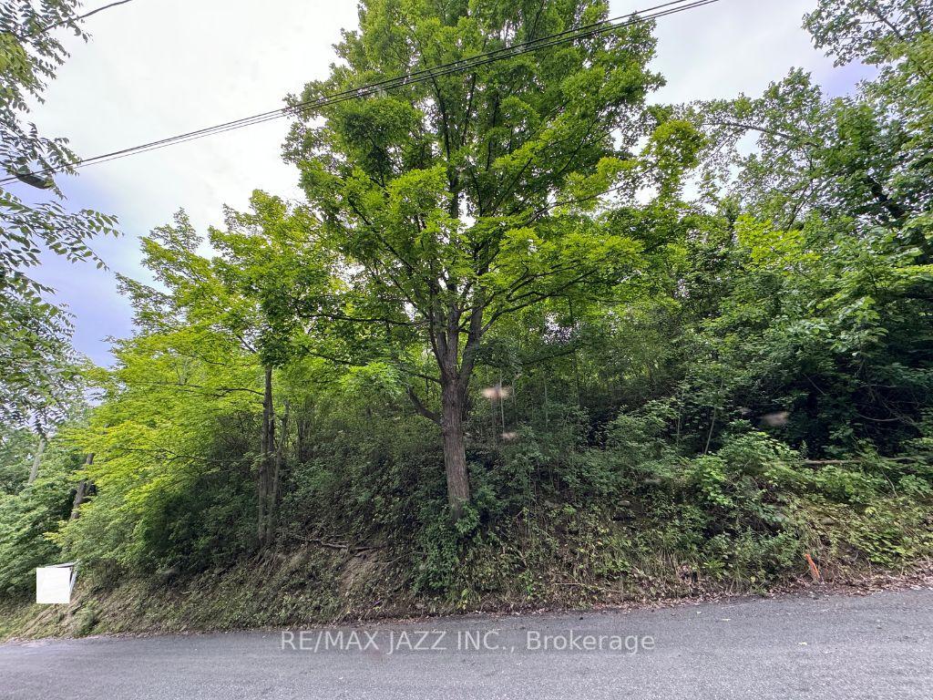 0 Maple Street — photo 1