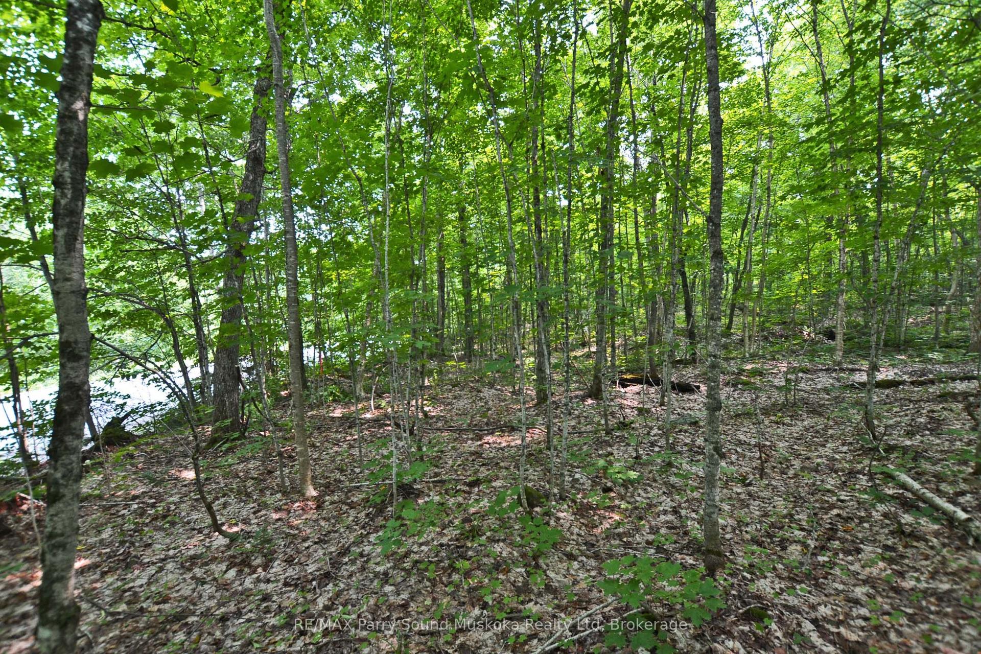 0 Lyndsey Lane Part 1 #Part 1, McKellar — Land for sale, photo 1
