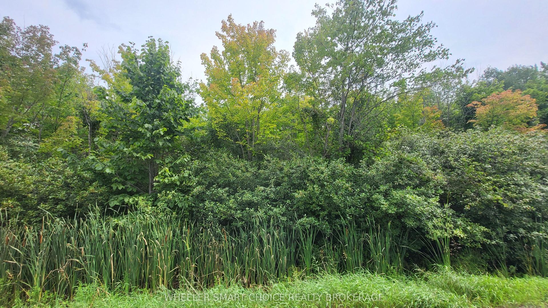 Lot 6 Tolmies Corners Road, North Stormont — Land for sale, photo 1