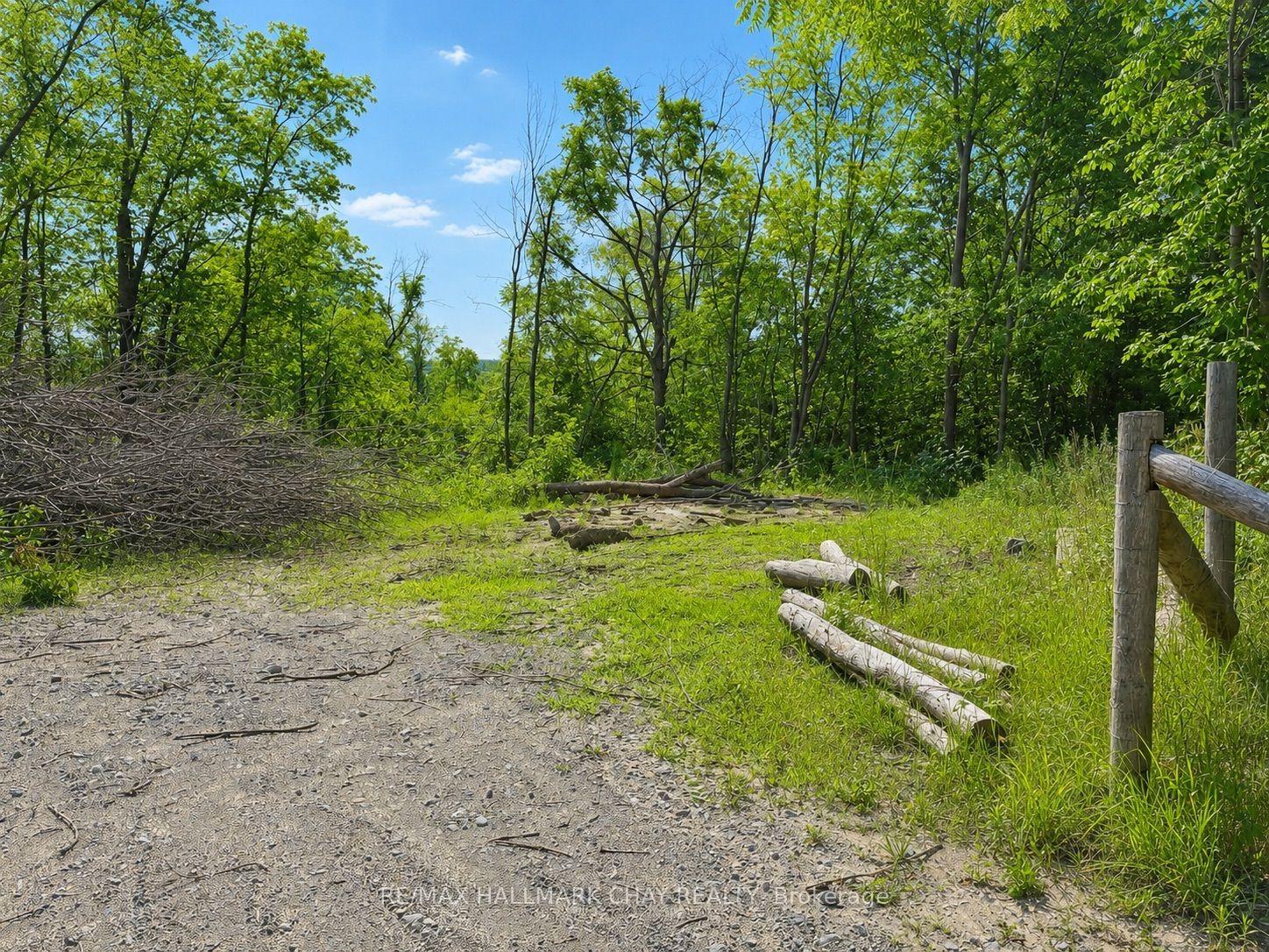 241 Mountain Avenue, Tay — Land for sale, photo 3