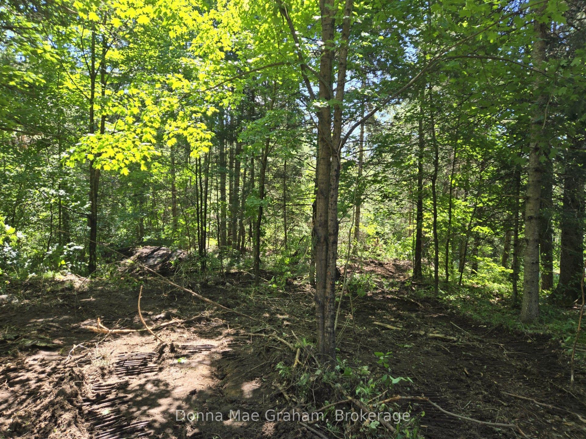 0 E Hwy 503 Highway E — photo 1