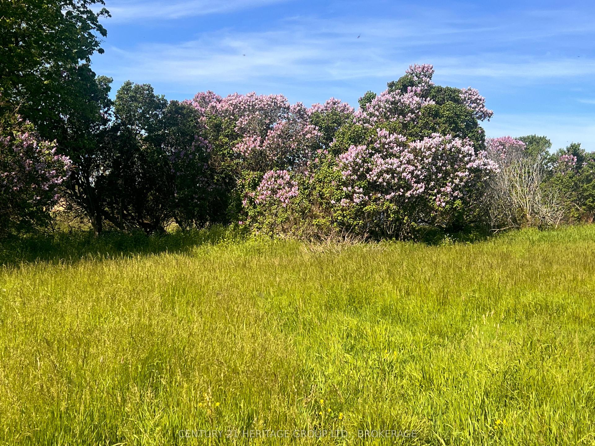 LOT 17 SOUTH SHORE Road, Frontenac Islands — Land for sale, photo 1