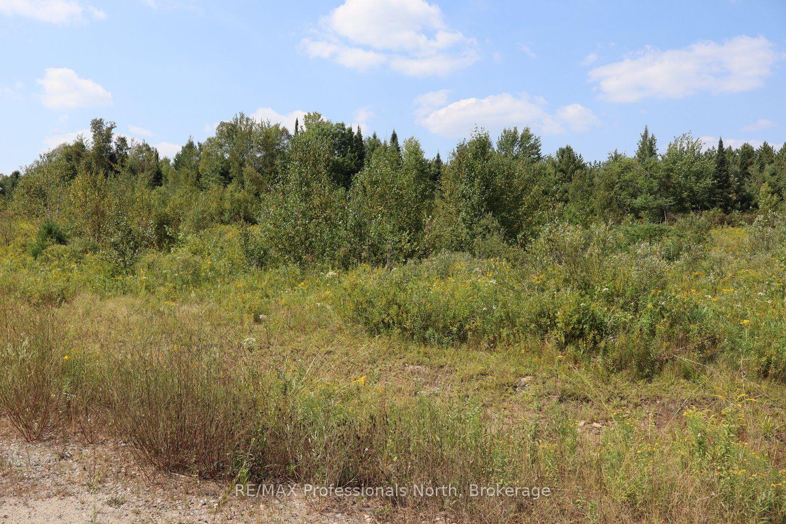 1010 Piper Glen Road, Minden Hills — Land for sale, photo 1