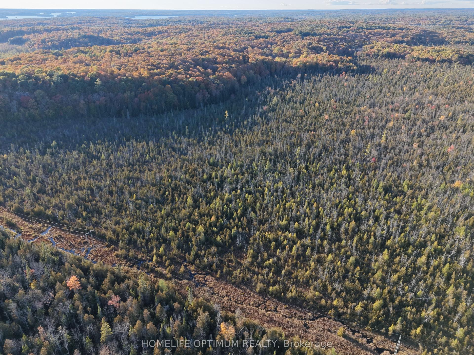 PCL 7717 & PCL 17235 LT 22 CON 3 & LT 21 CON 3, Muskoka Lakes — Land for sale, photo 1