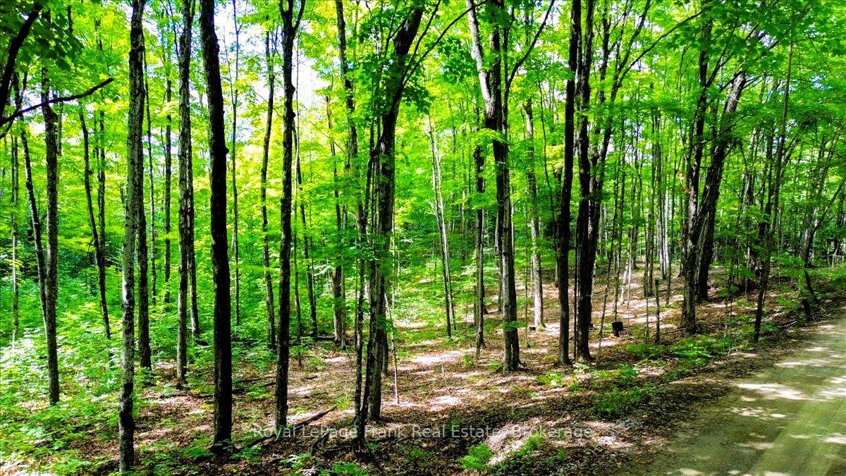 0 North Rusaw Road, North Kawartha — Land for sale, photo 1