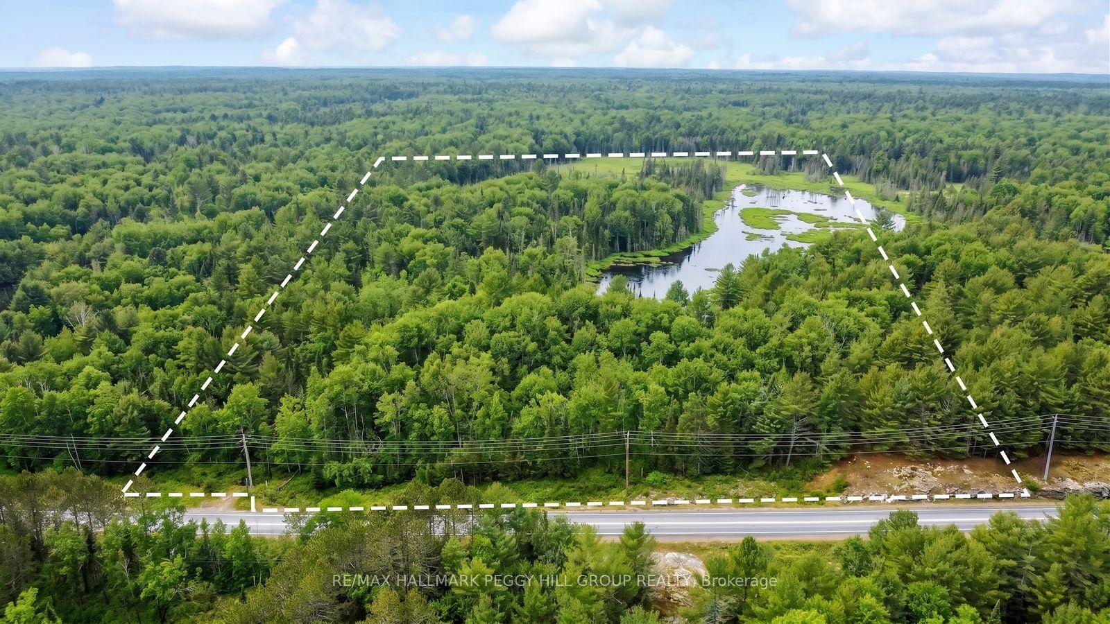 0 County Road 121, Minden Hills — Land for sale, photo 1