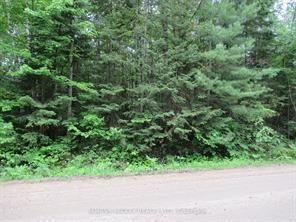 Pt Lot 49 OLD MOORE LAKE Road, Laurentian Hills — Land for sale, photo 1