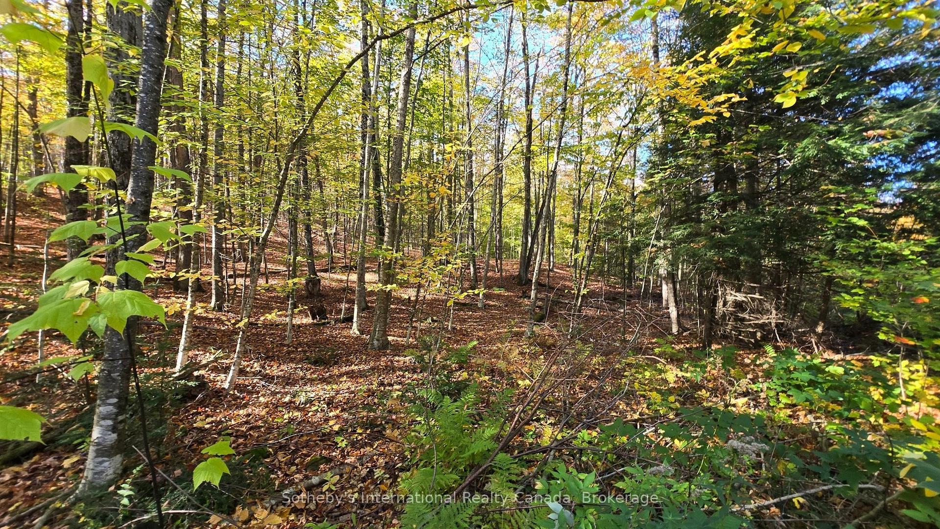 0 Mink Lot 17 Road, Dysart et al — Land for sale, photo 1