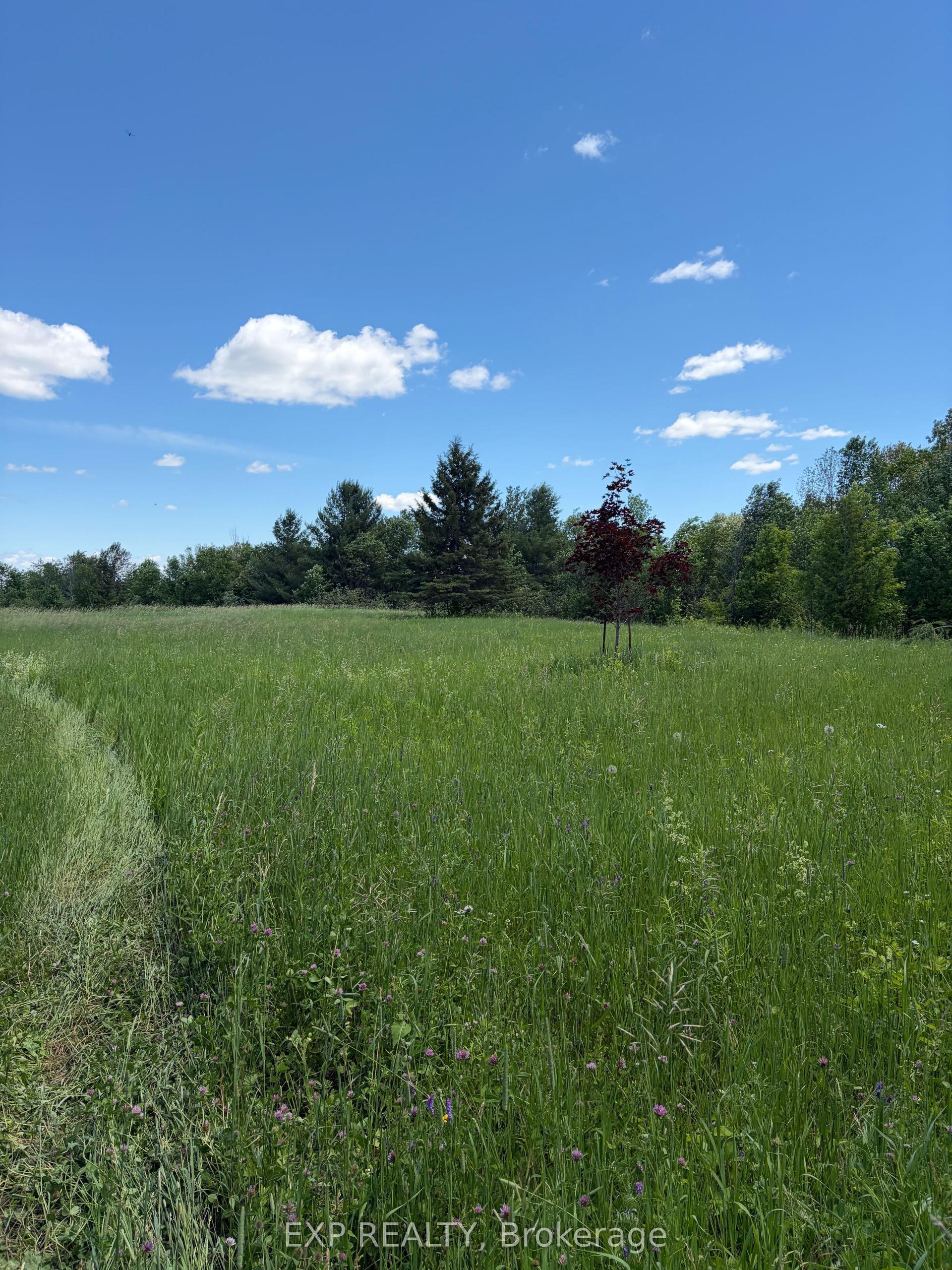 151 Chris Ruddy Road — photo 1
