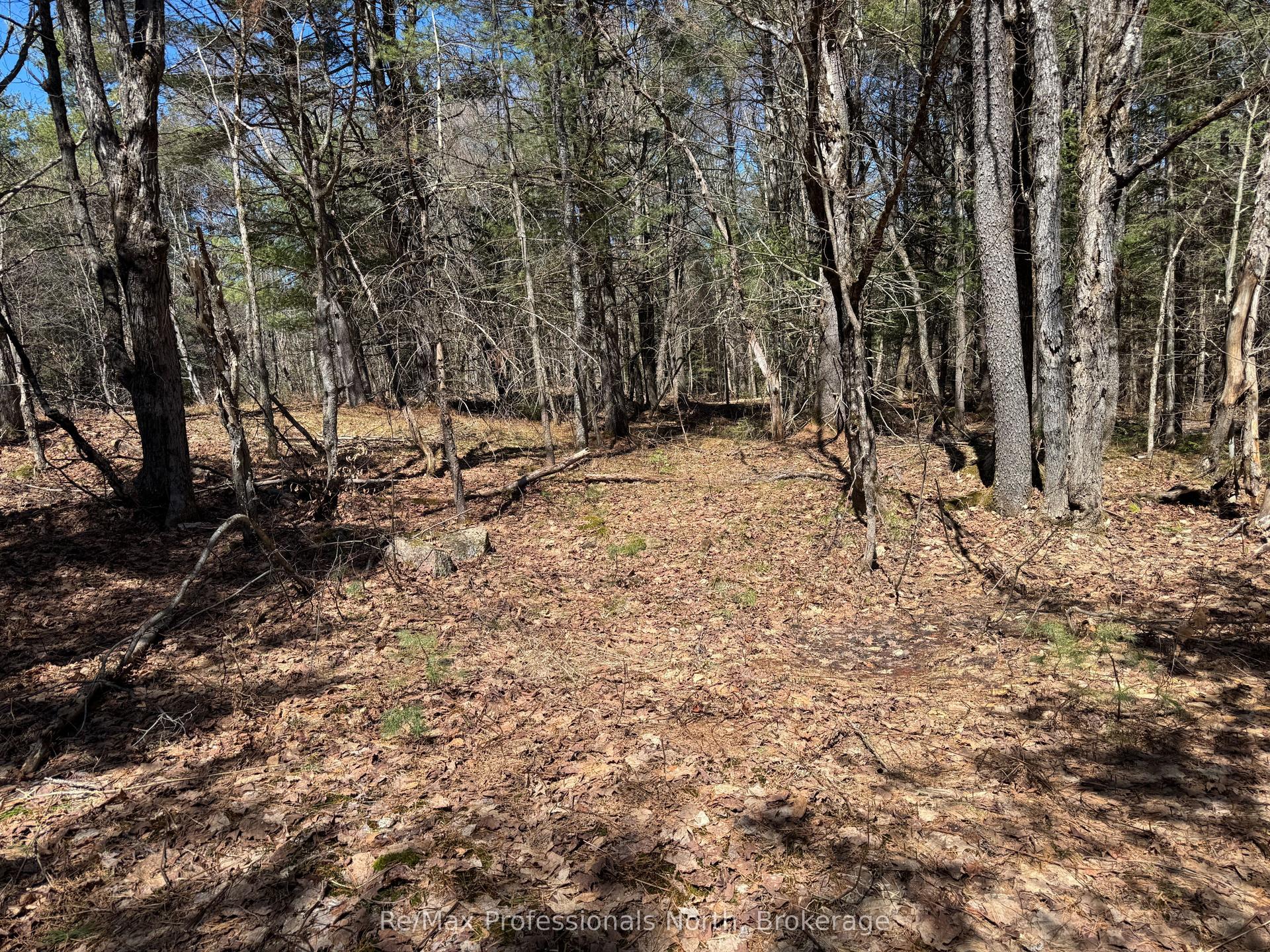 Lot 15 and 16 Con 2 Draper N/A — photo 1