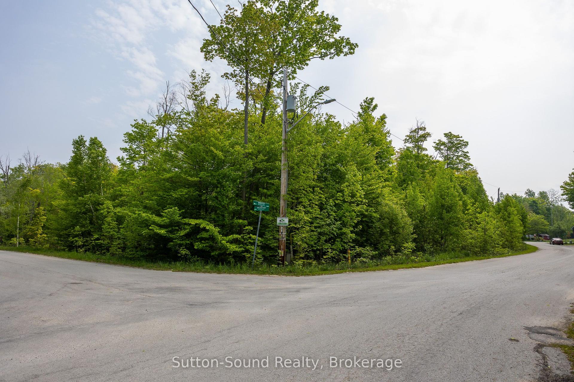 59 Birch Street — photo 1