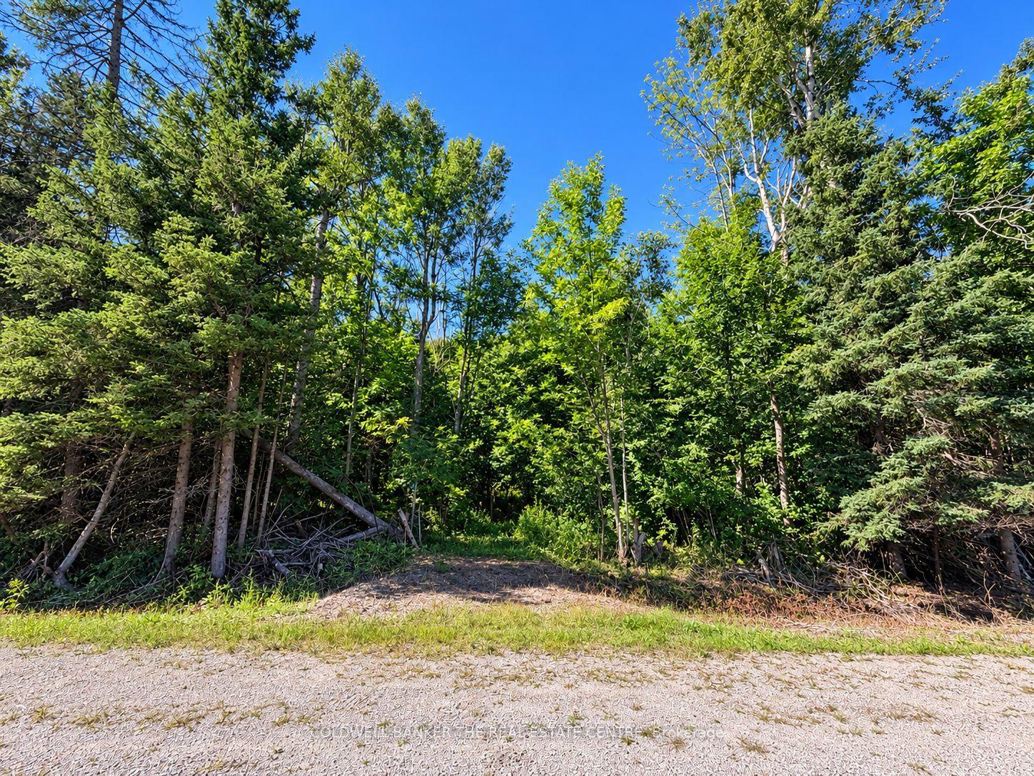 4896 Penetanguishene Road, Springwater — Land for sale, photo 1