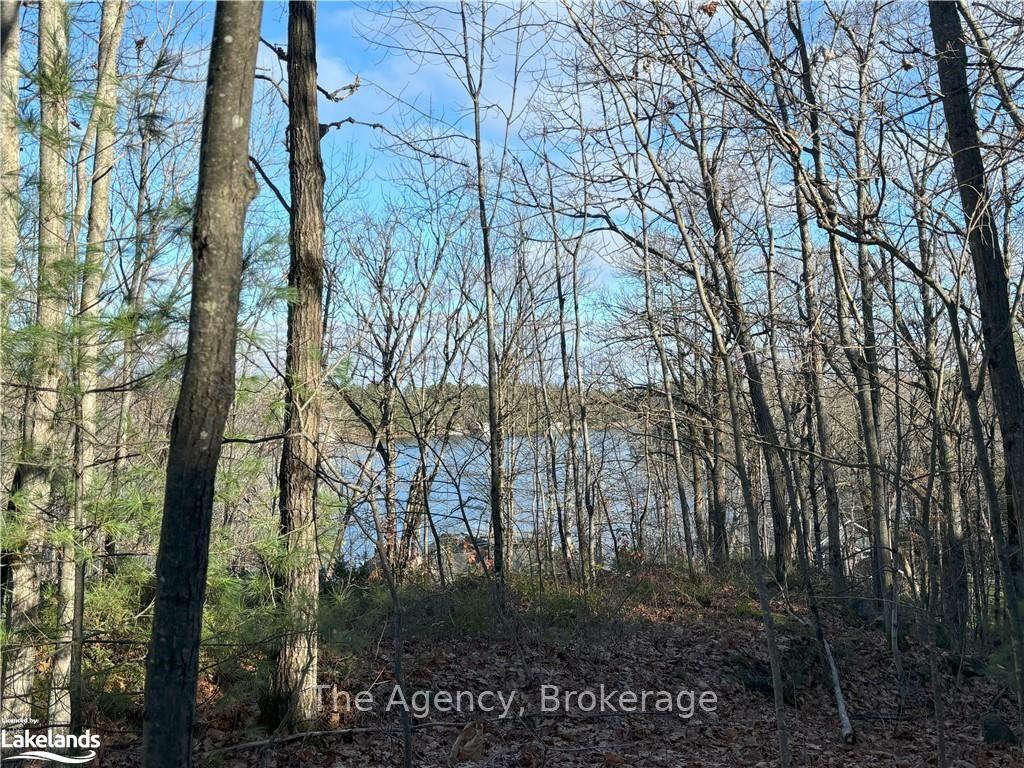 1766 Muskoka Road 169 Road — photo 1