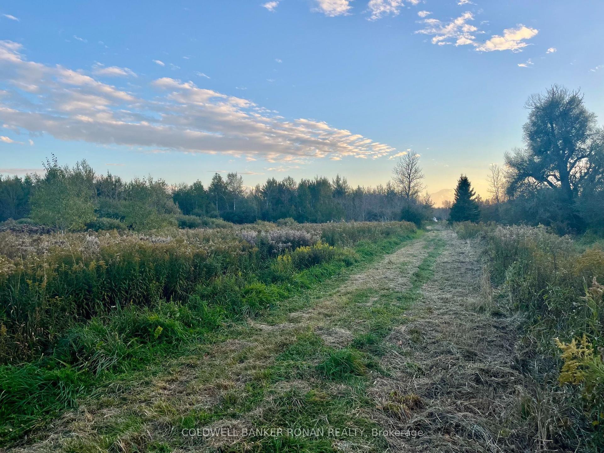 345198 15 Side Road, Amaranth — Land for sale, photo 1