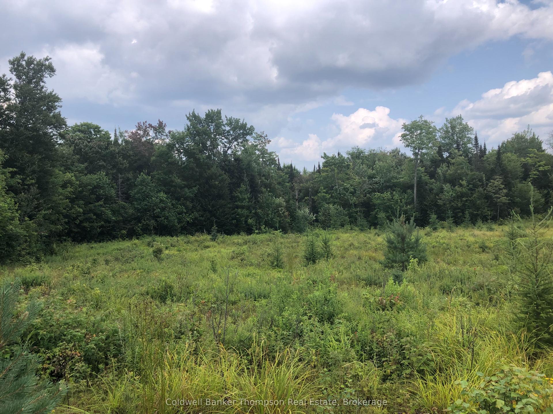 522 ALBERT Street N — photo 1