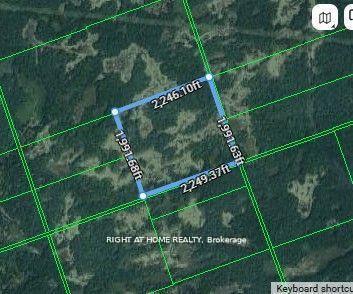 0A Flinton Road E — photo 1
