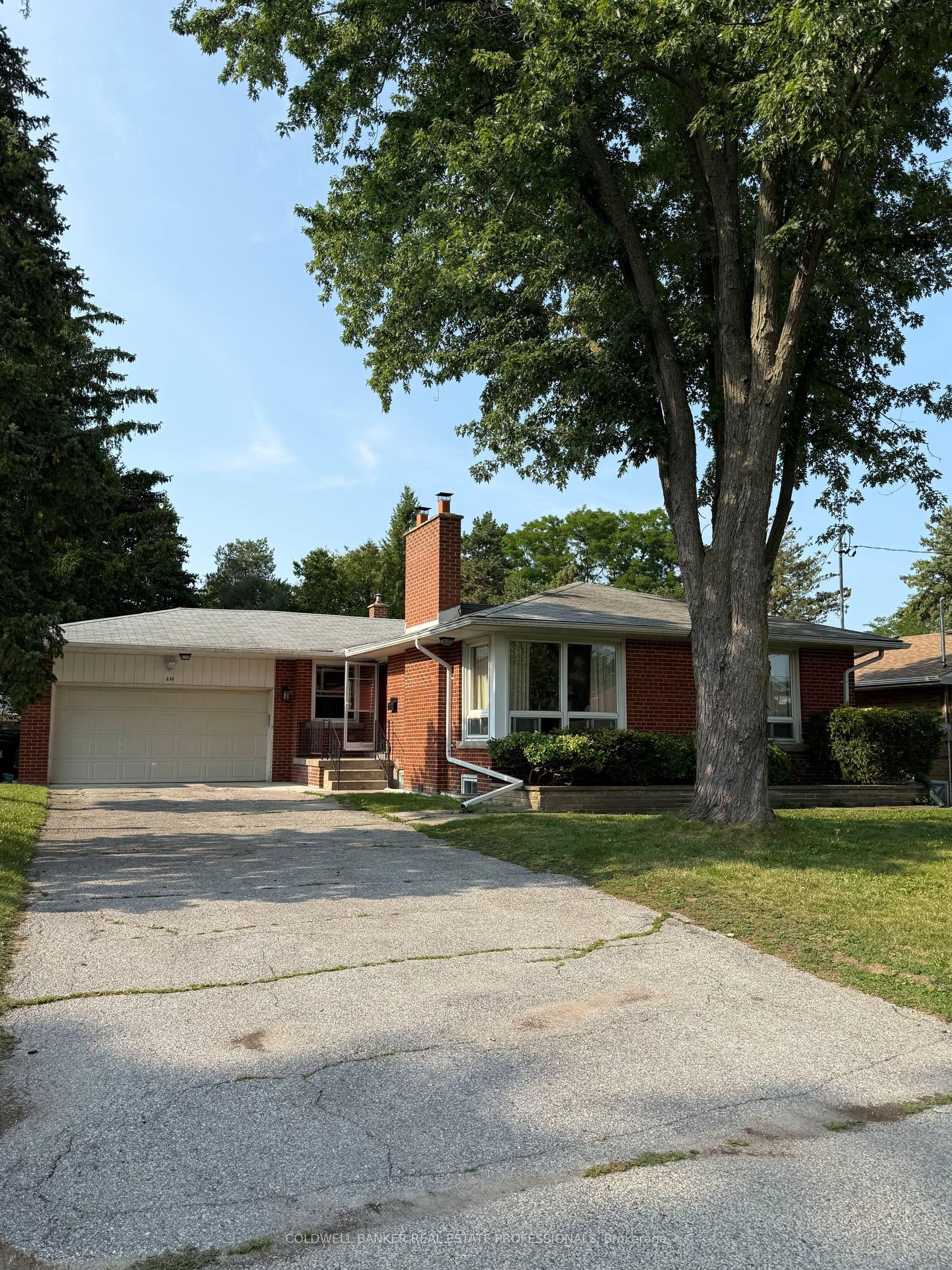 232 Newton Drive Basement A #Basement A, Toronto — Detached for lease, photo 1