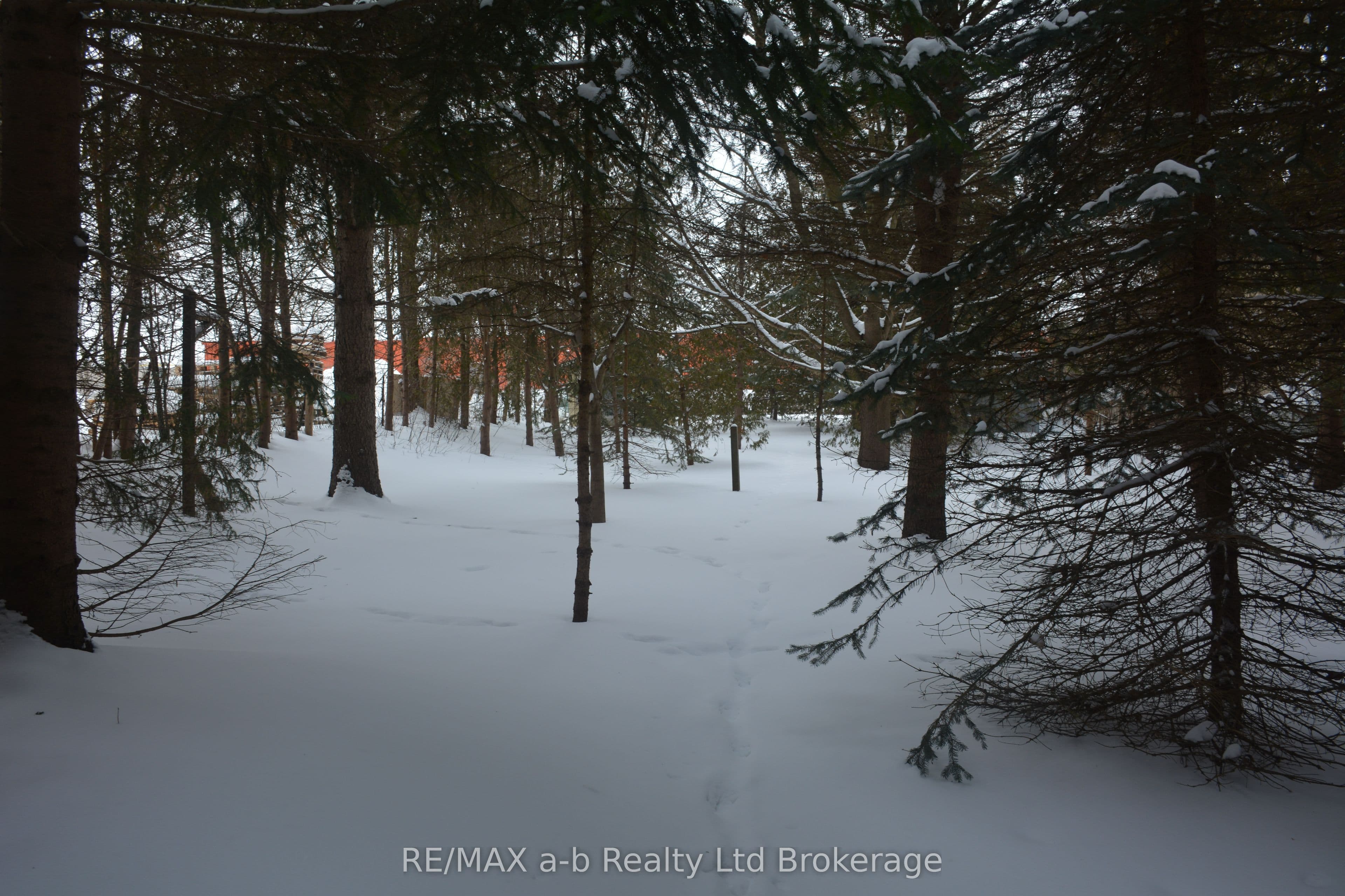 146 Whiting Street — photo 1