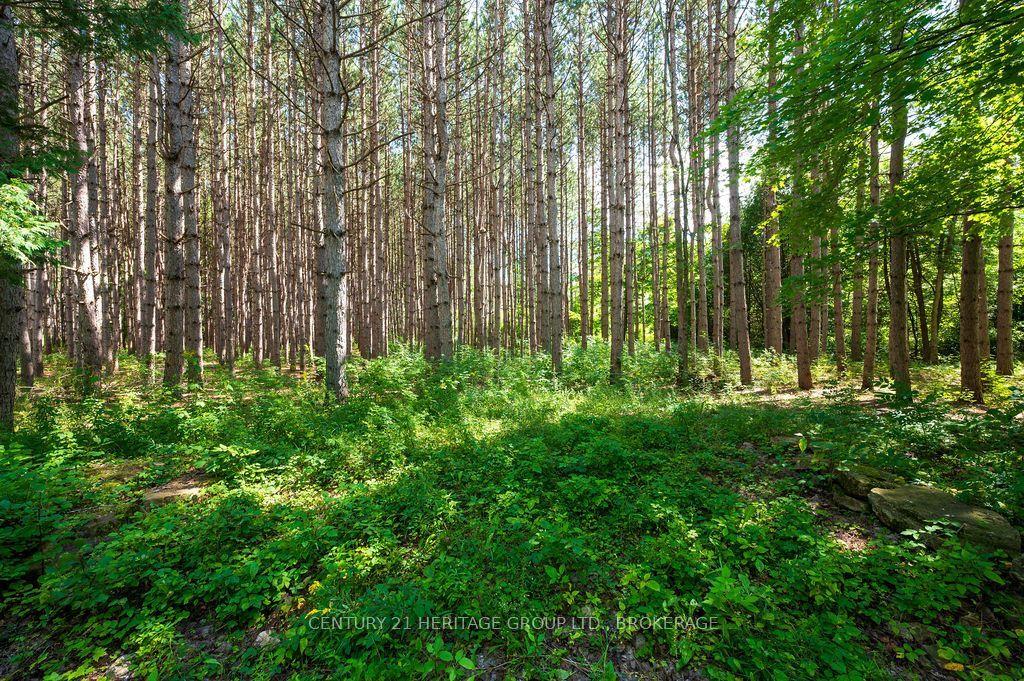 817 Powers Road, Tay Valley — Land for sale, photo 1