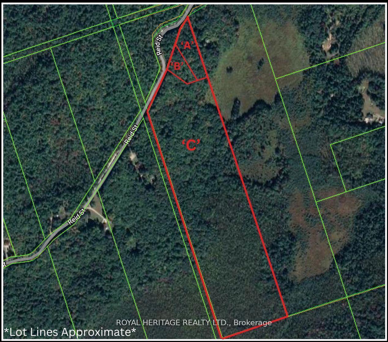 0A Reid Street, Trent Lakes — Land for sale, photo 1