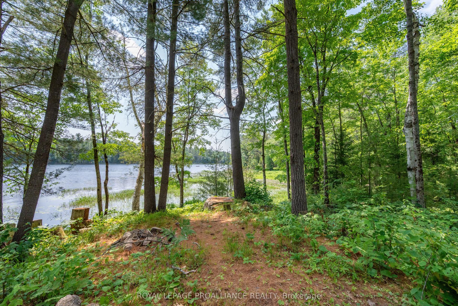 1180 Marshall Lane — photo 1