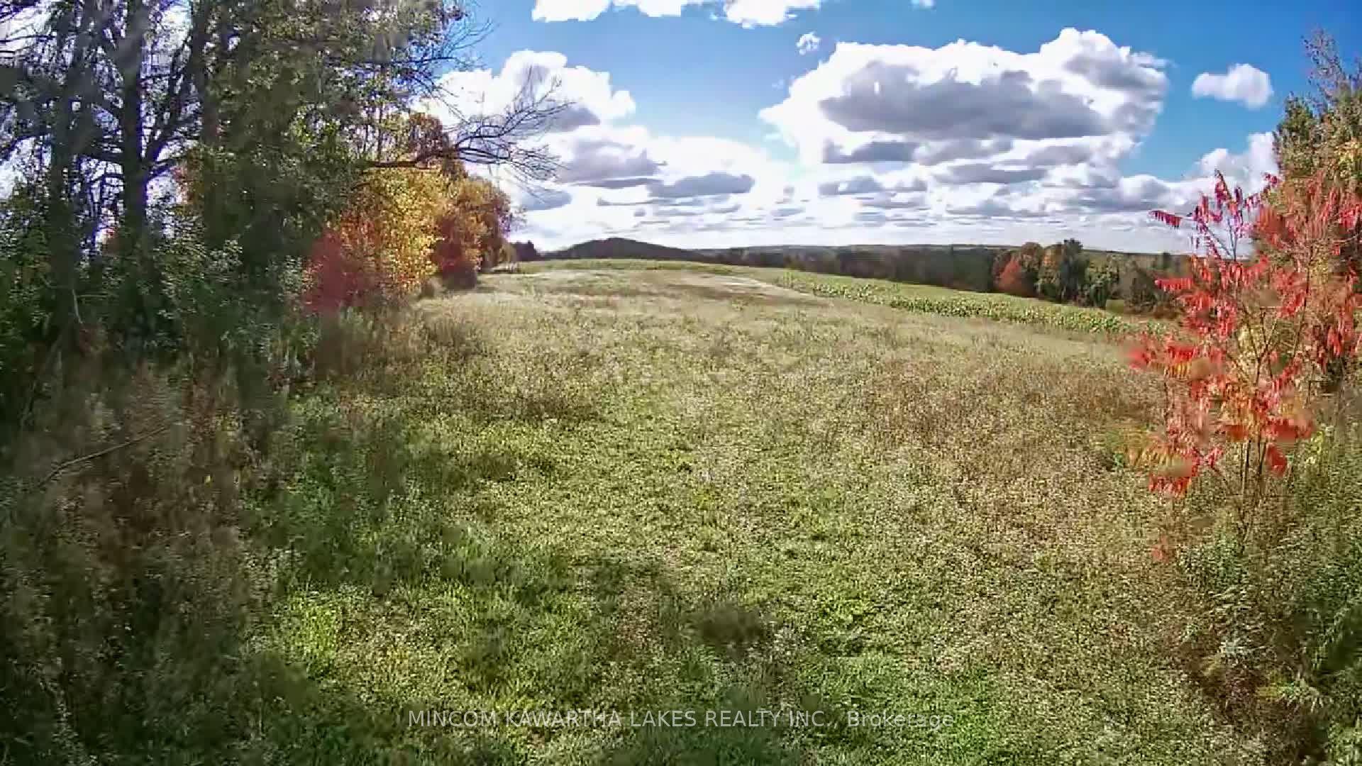 PL 15 Base Line — photo 1