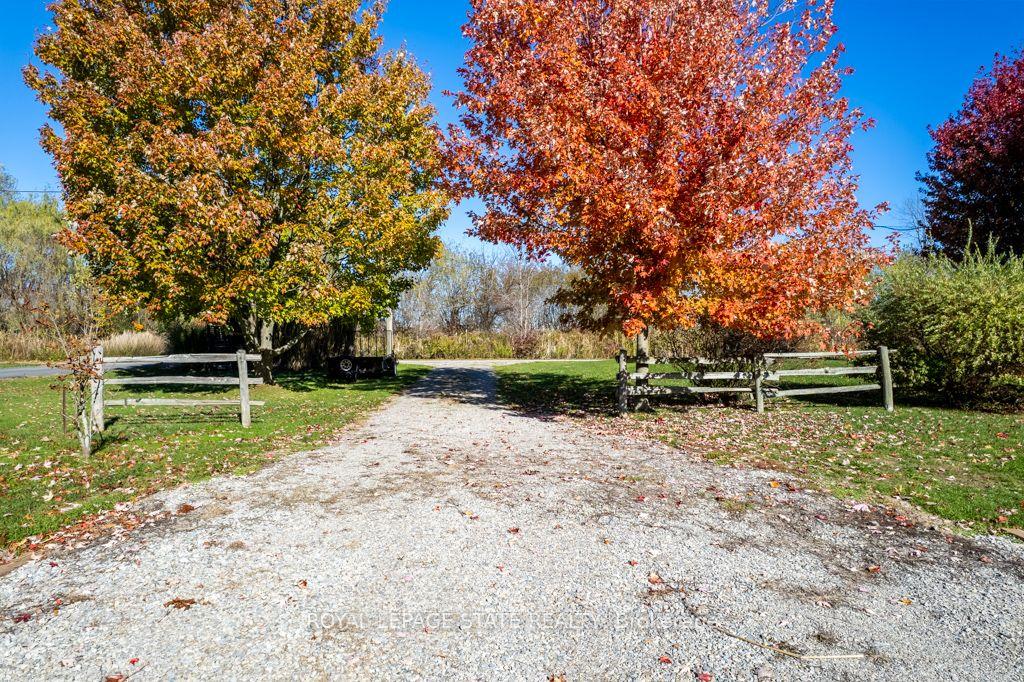 4 Dearden Lane — photo 1