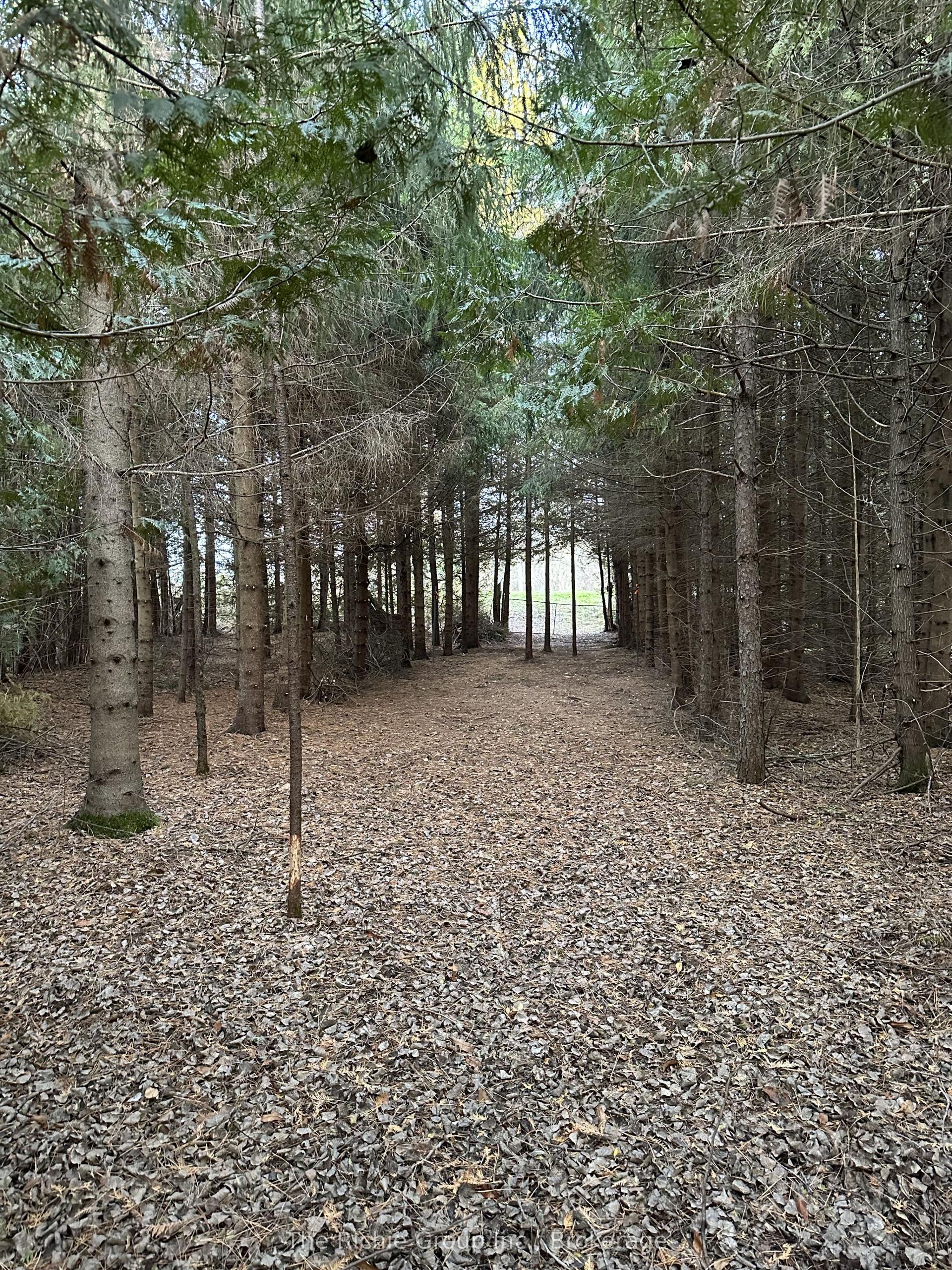 Pt Lt 3 Con 7 N/A — photo 1