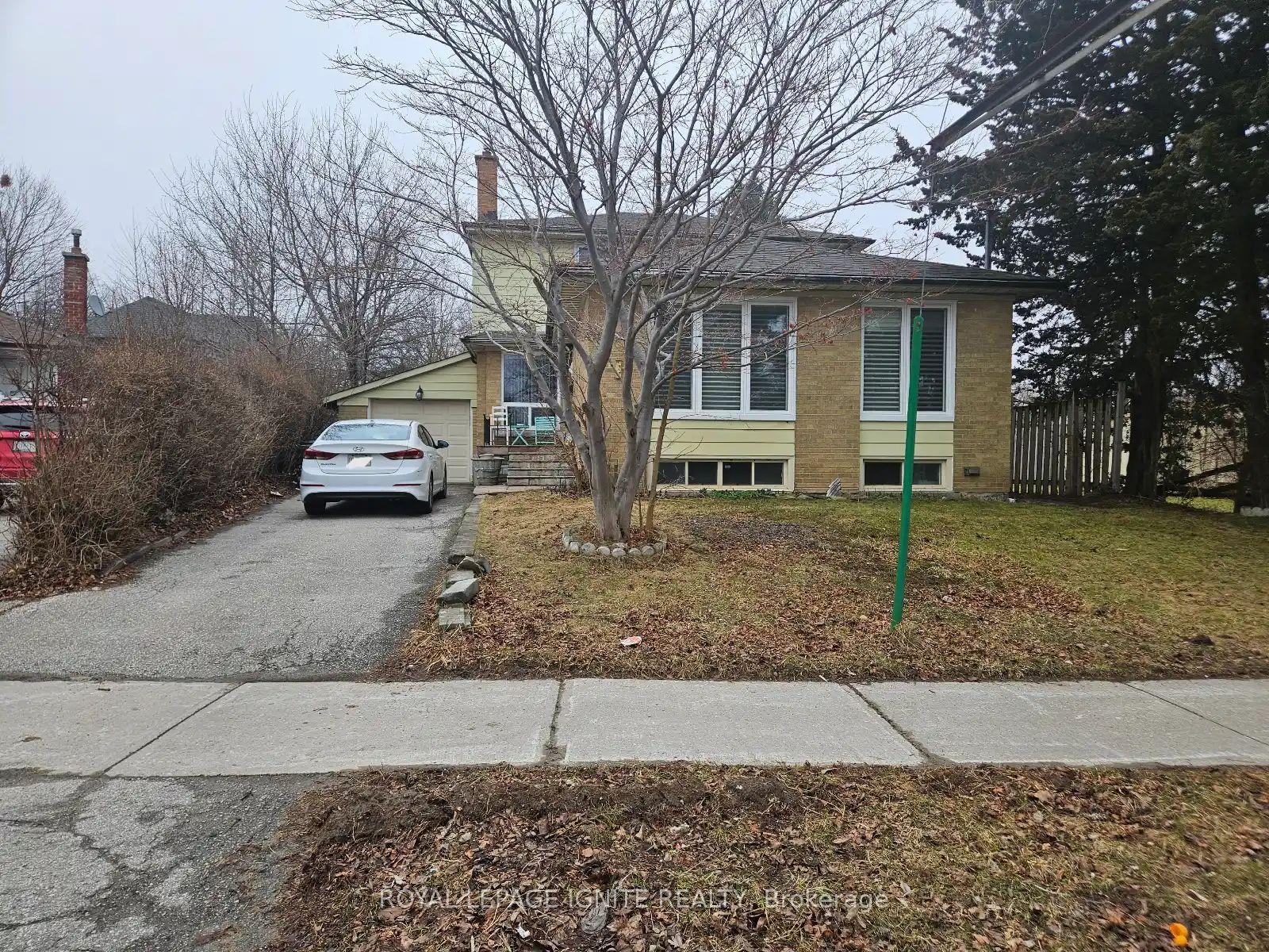 31 Benfrisco Crescent Bsmnt #Bsmnt, Toronto — Detached for lease, photo 1