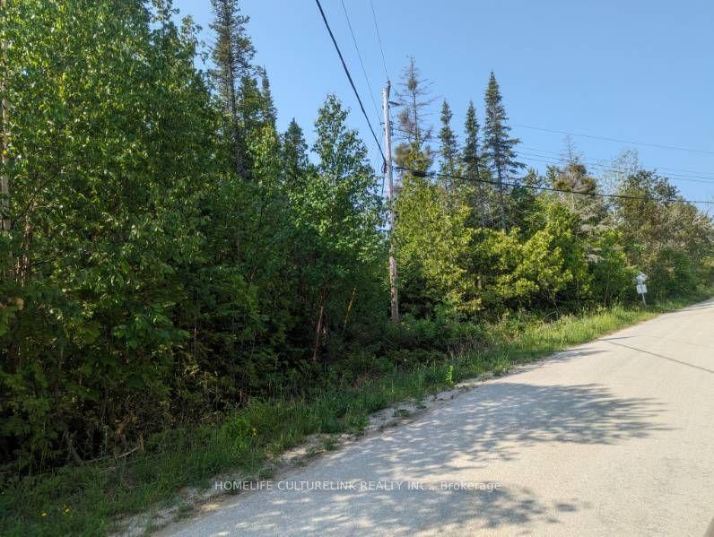 105 Corey Crescent — photo 1