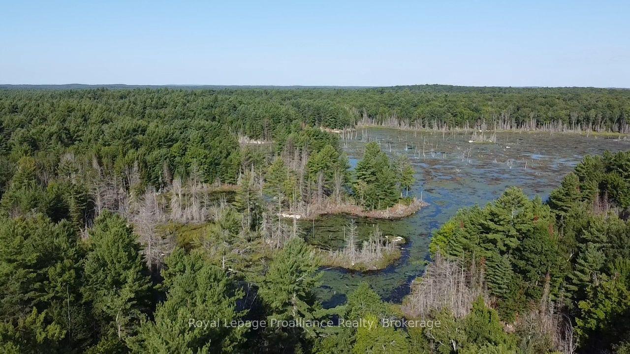 PL29C10 Kennebec Road, Addington Highlands — Land for sale, photo 1