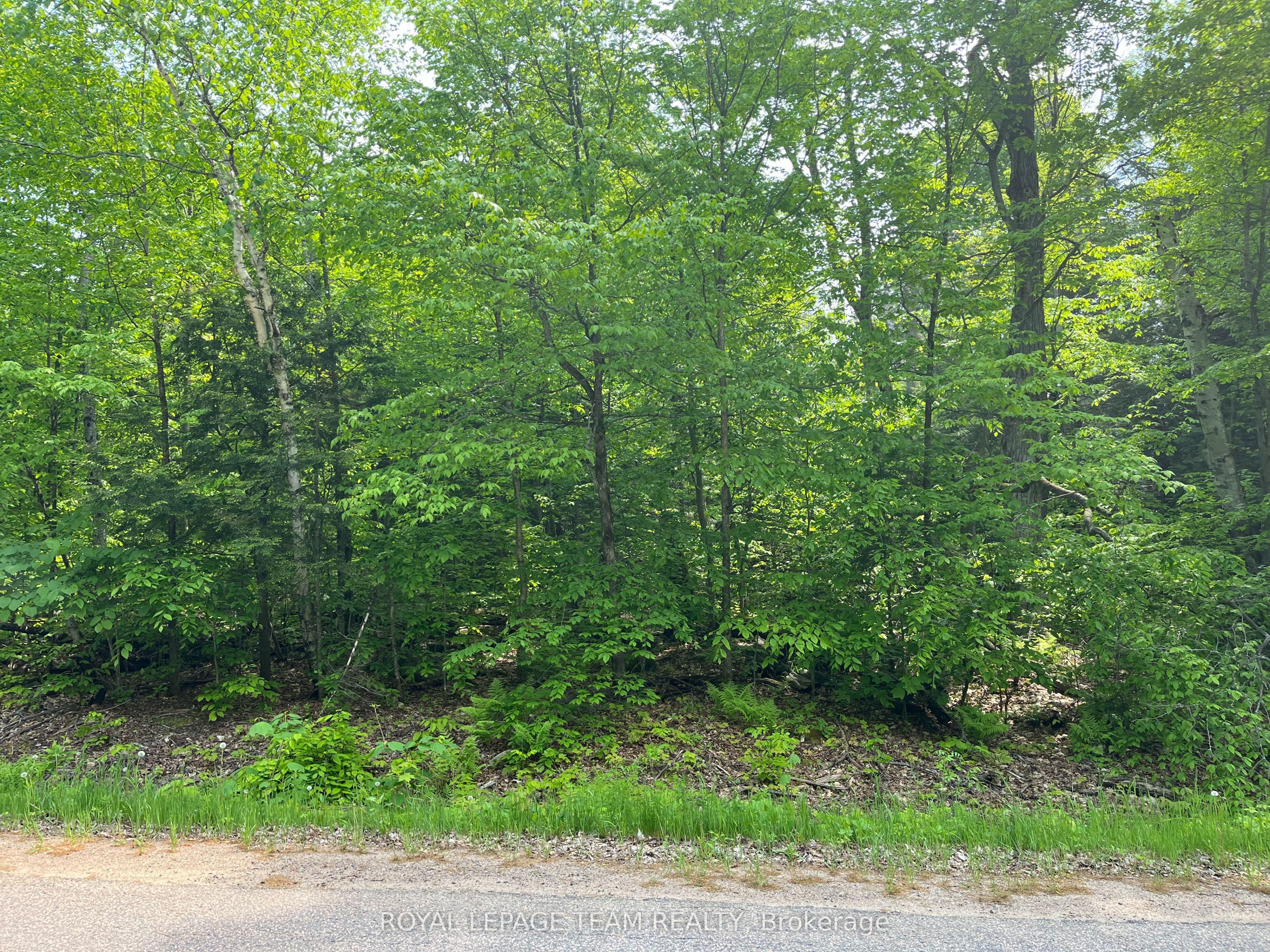 387 Sunny Hill Road — photo 1